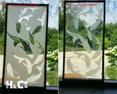 Sähkökrominen Smart Glass